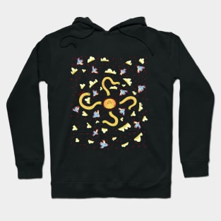 Derpy sun mandala with birds Hoodie